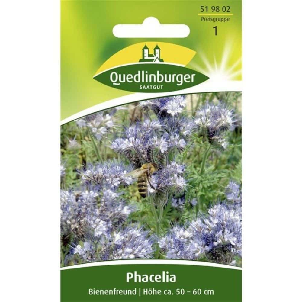 Phacelia, prijatelj pčela