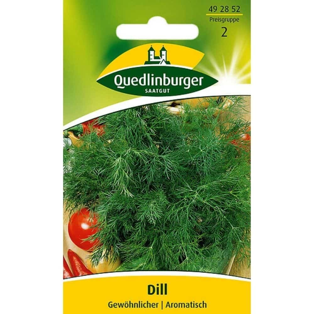 Dill, Obični